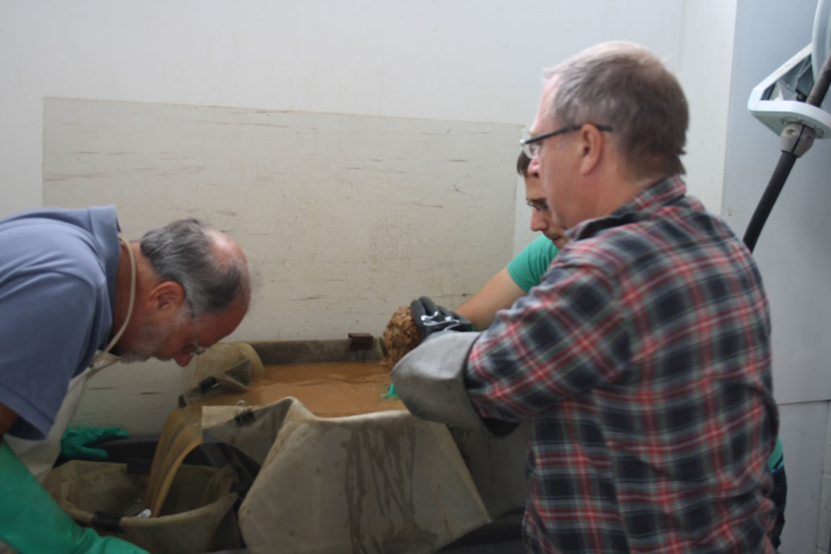 Phil and Dave (and Dan, hidden) get floating.