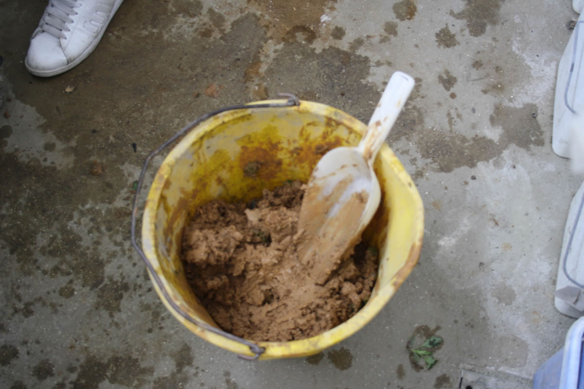 Potentially invaluable evidence.