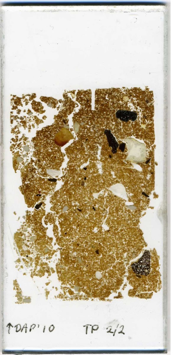 One of Kate&rsquo;s thin sections, in all its glory.