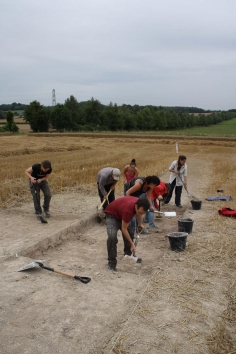 With the crop off, a determined attempt to investigate the mound of Dampney Barrow.